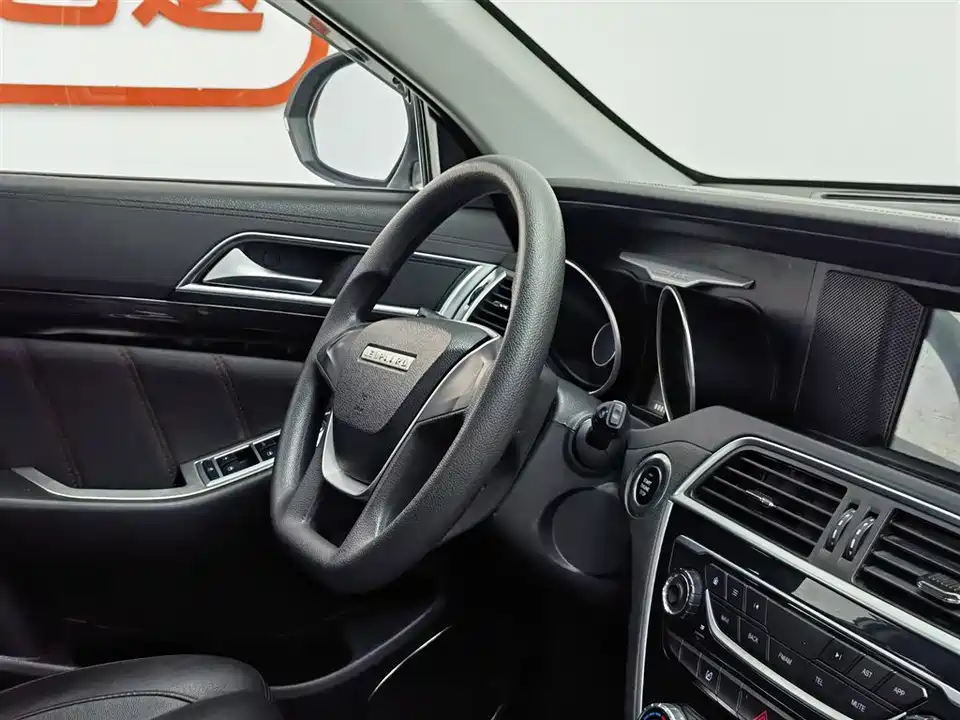 Leopaard Cheetah CS10