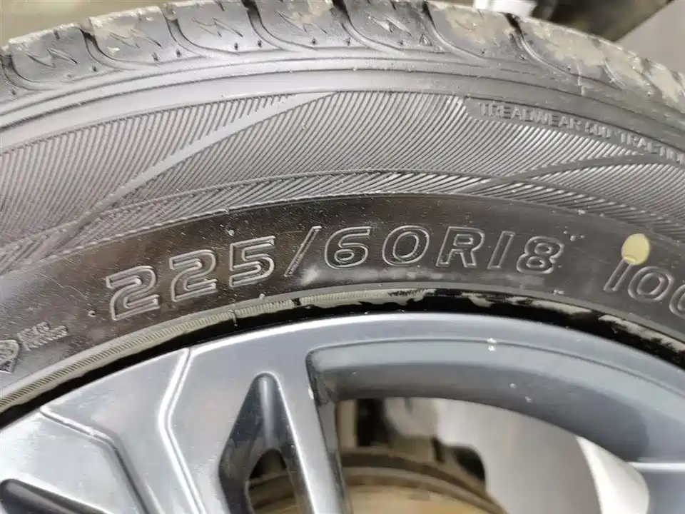 Leopaard Cheetah CS10