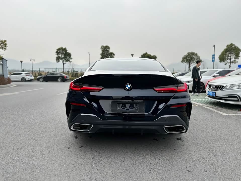 BMW 8 series