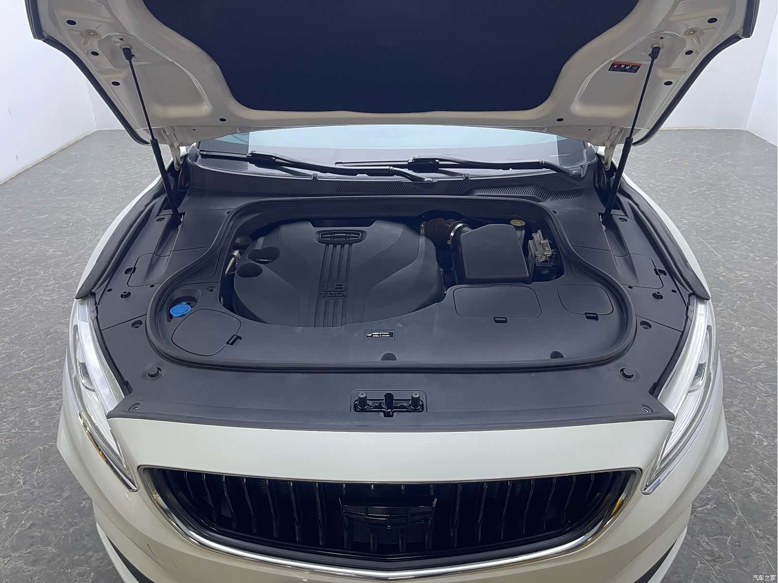 Geely +, 2020 17