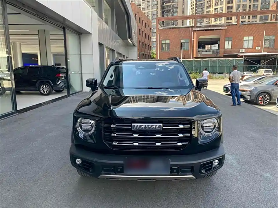 Haval Big dog
