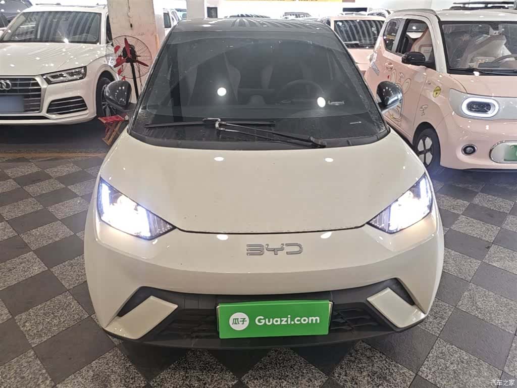 BYD Seagull, 2024 2
