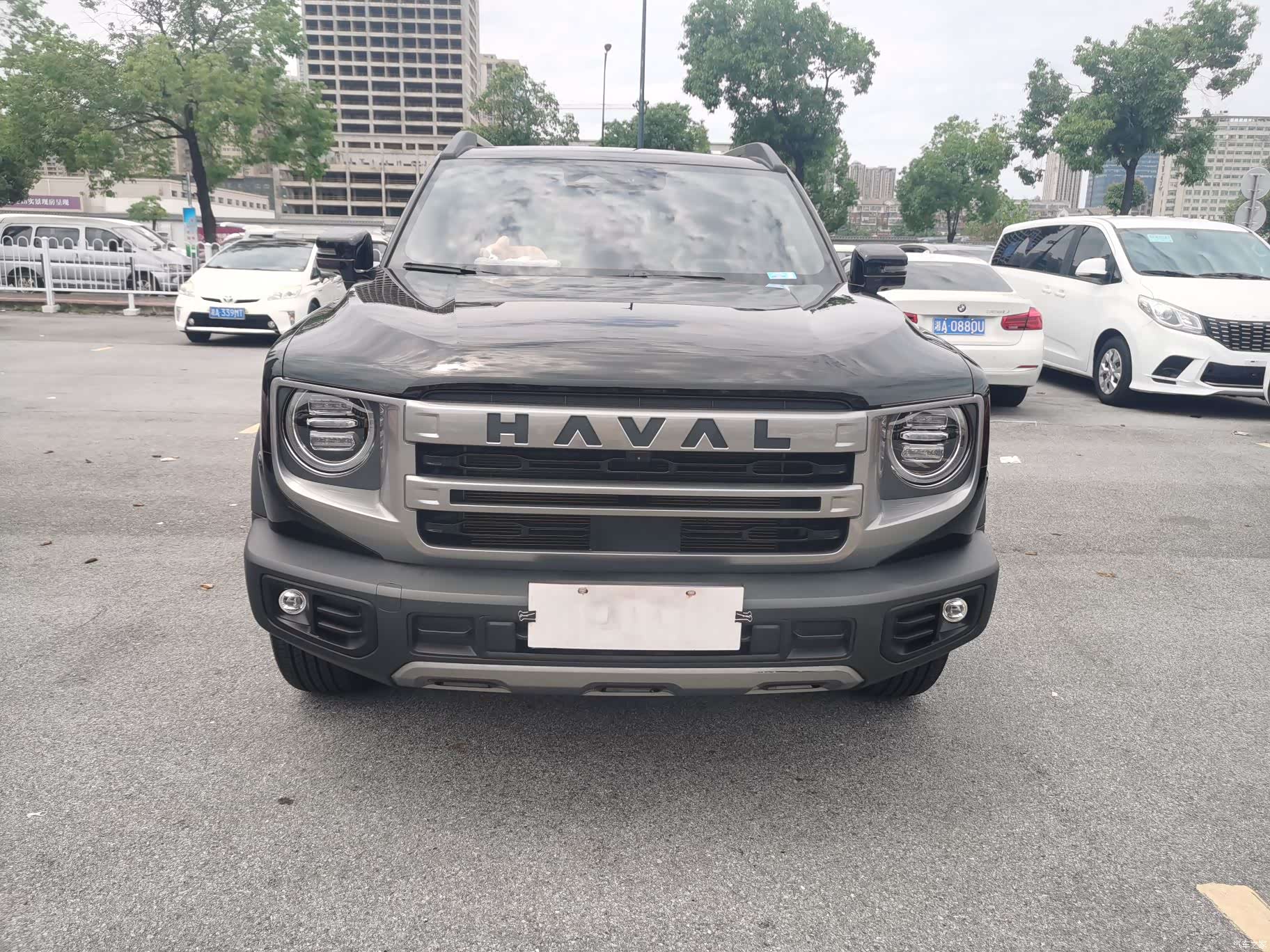 Haval Big Dog, 2024 2