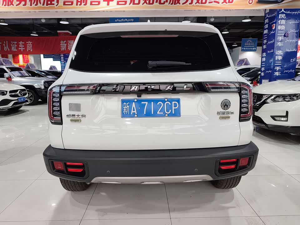 Haval Big dog