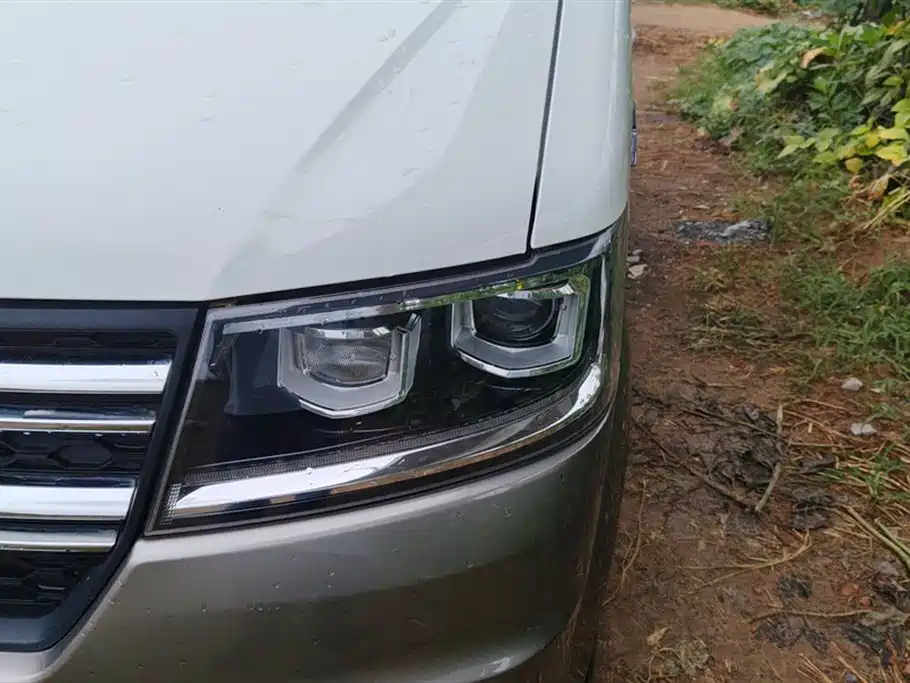 Jinbei New Sea Lion S