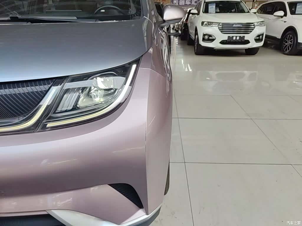 BYD Dolphin, 2022 24