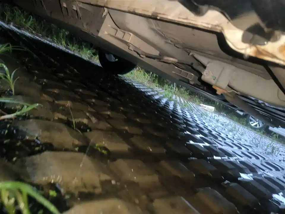 Geometry EX3 Kung Fu Cow