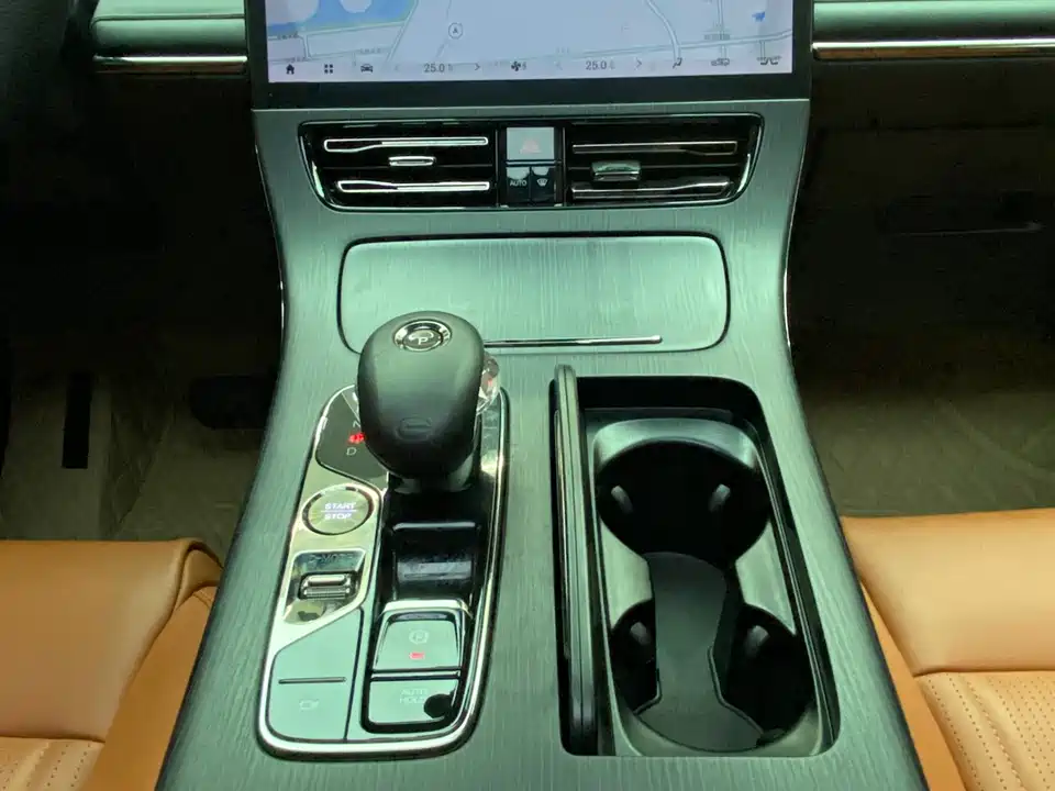 Trumpchi Trumpchi E9