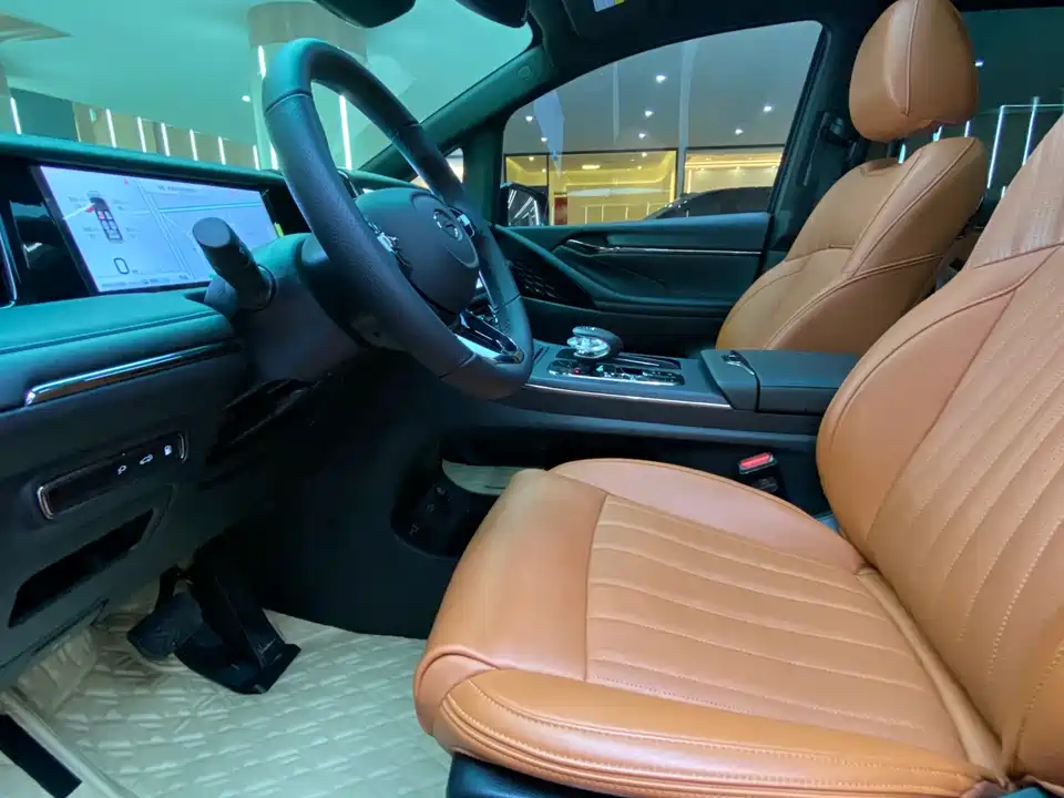 Trumpchi Trumpchi E9