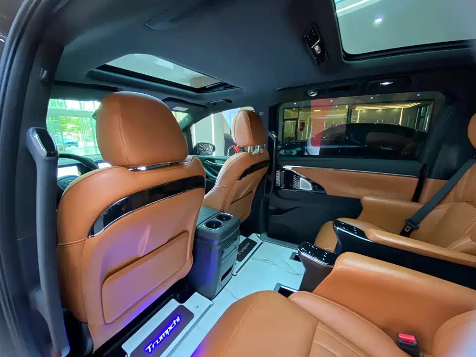 Trumpchi Trumpchi E9