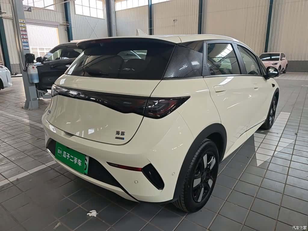 BYD Dolphin, 2025 7