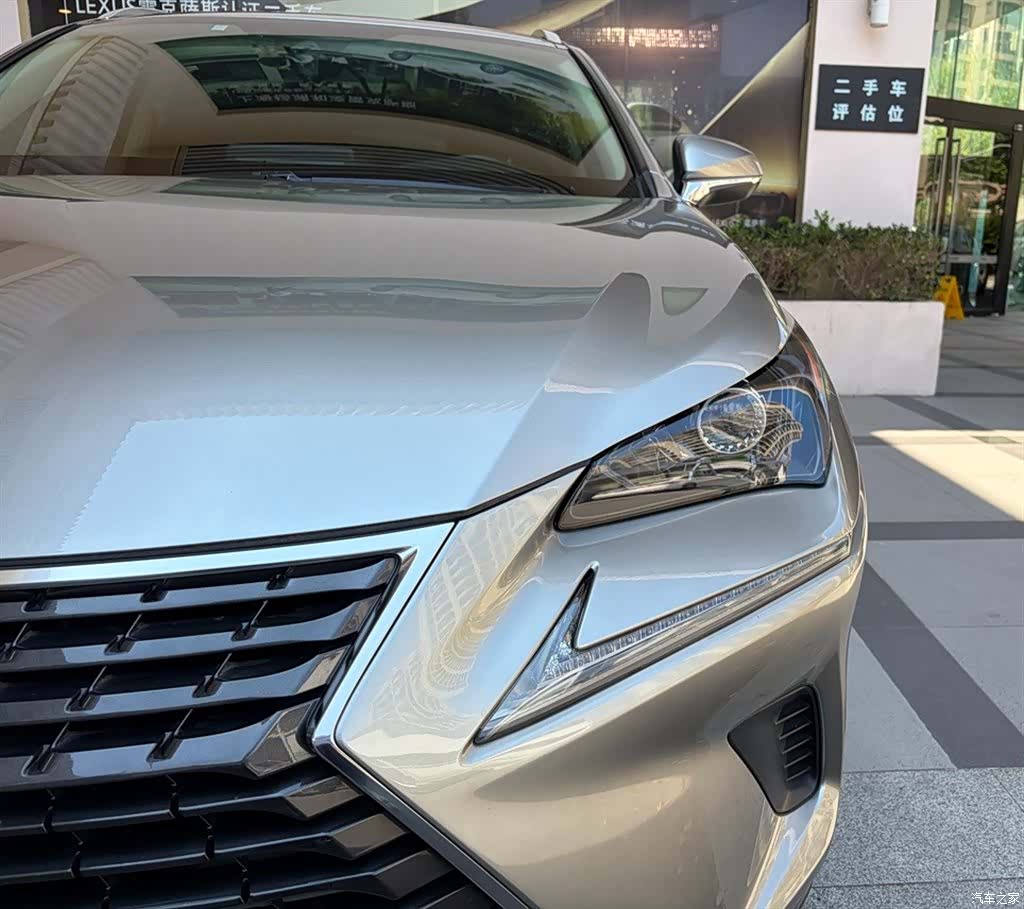 Lexus NX, 2021 все фото