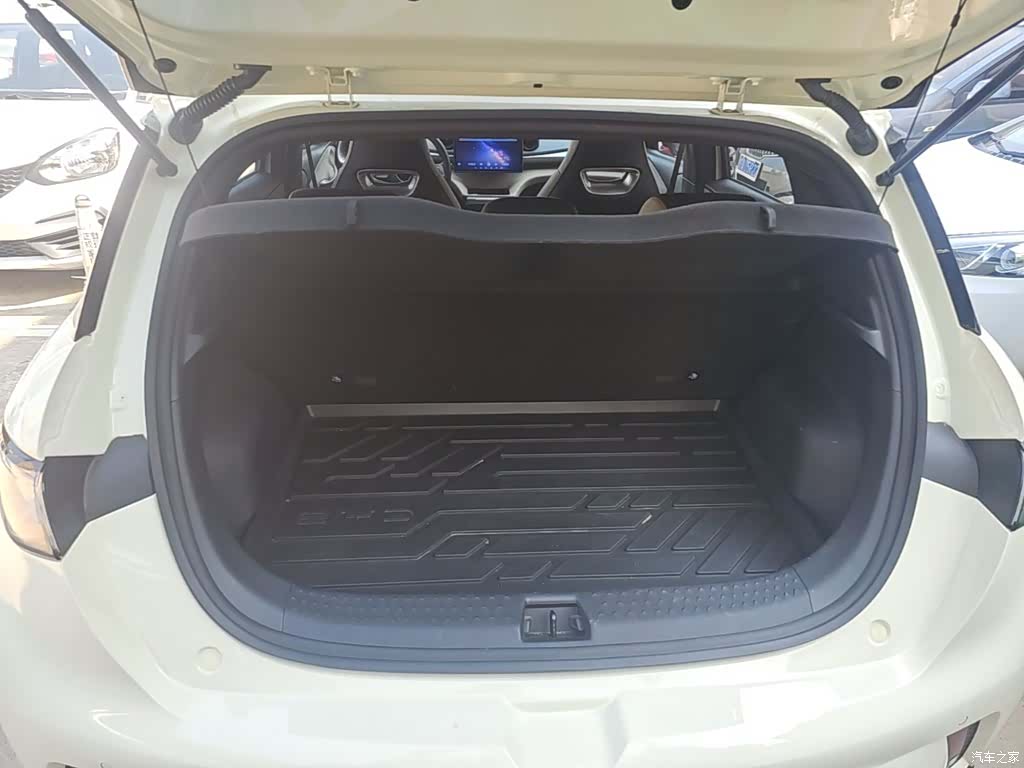 BYD Dolphin, 2025 19