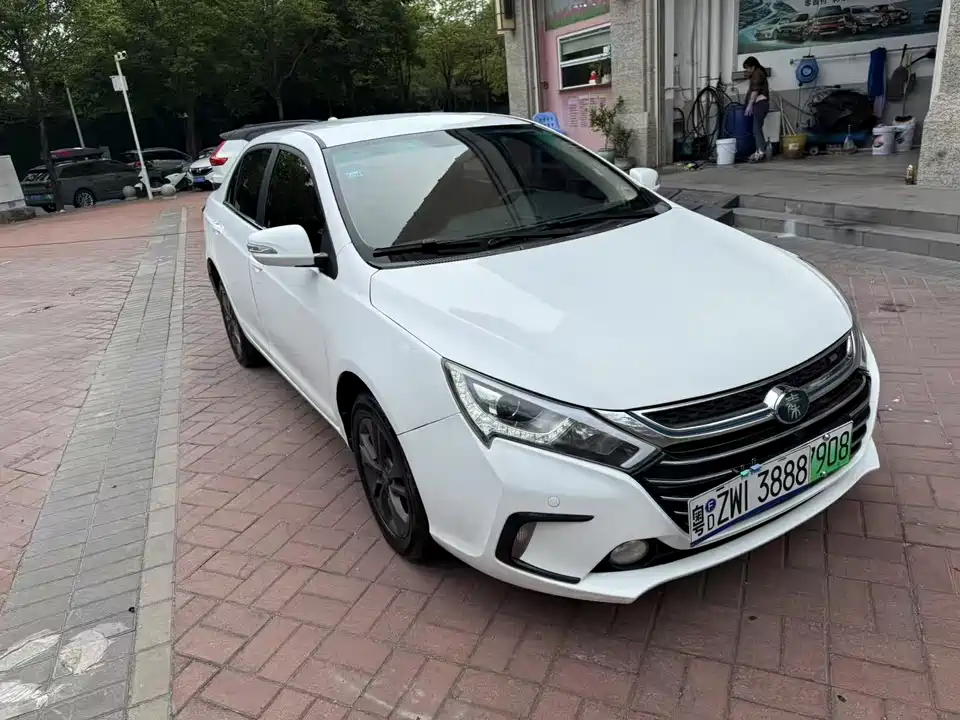 BYD Qinxin Energy
