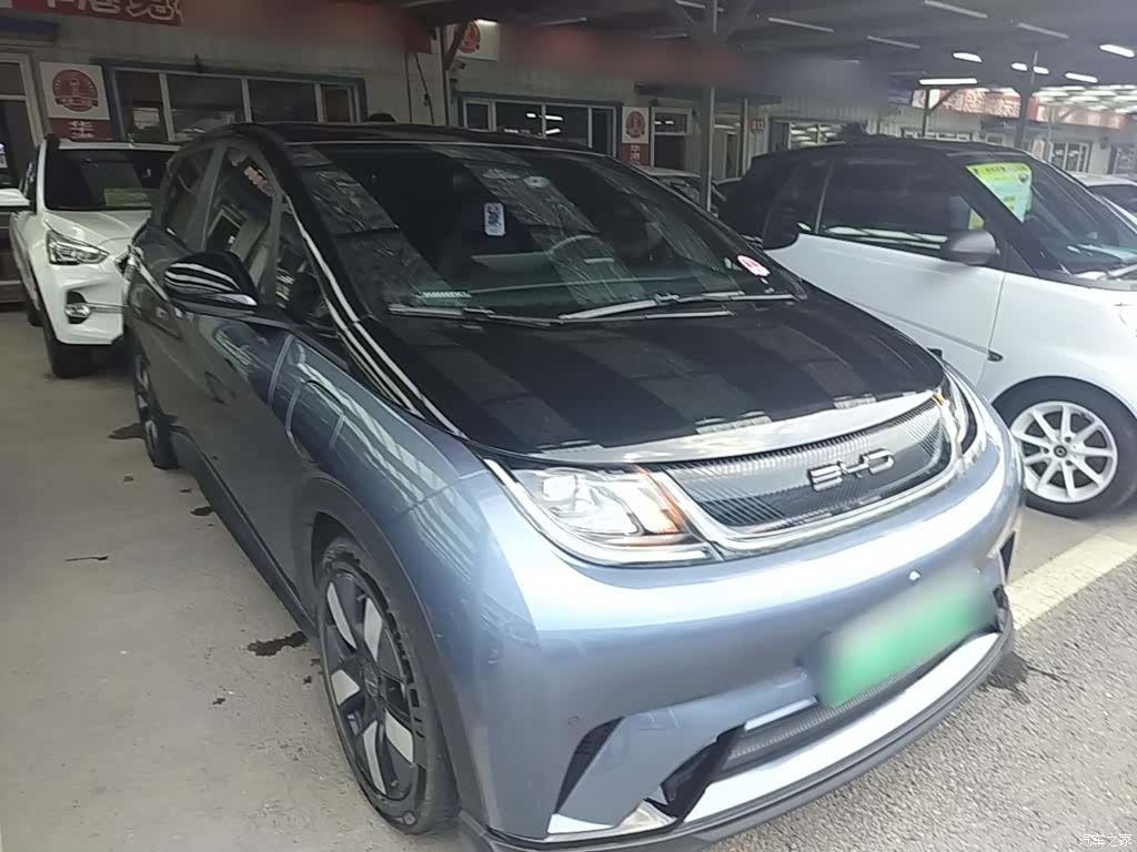 BYD Dolphin, 2023 4