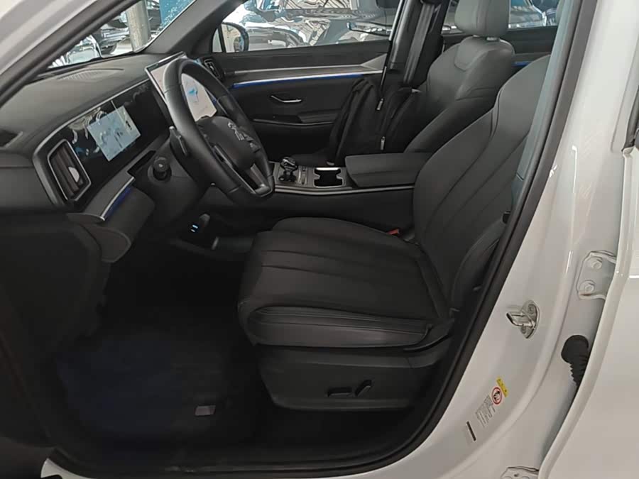 BYD Song Pro New Energy 2025, фото 15
