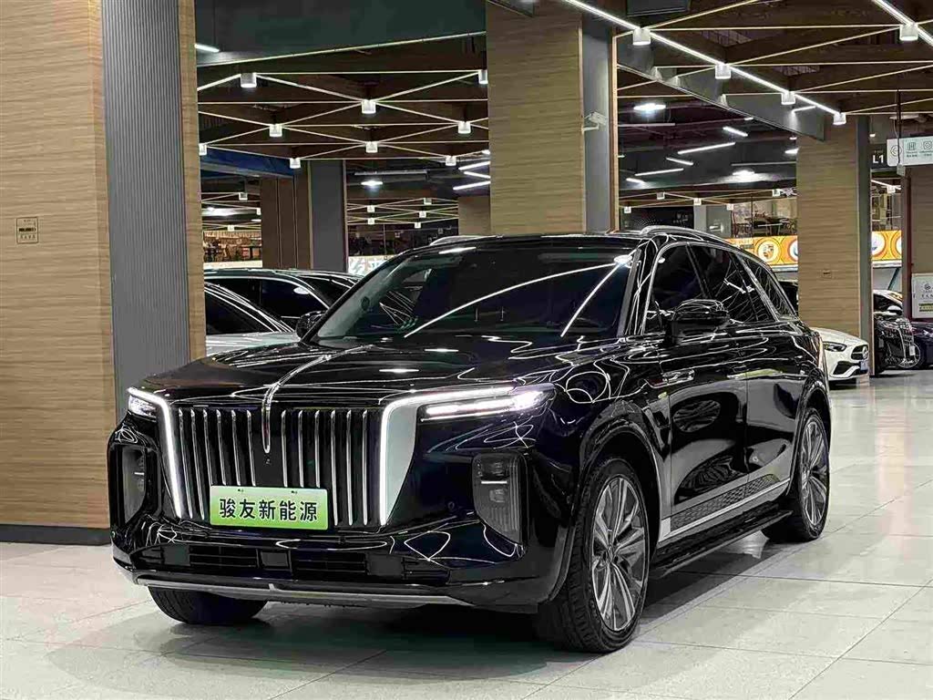 Hongqi E-HS9 2022 690km мест