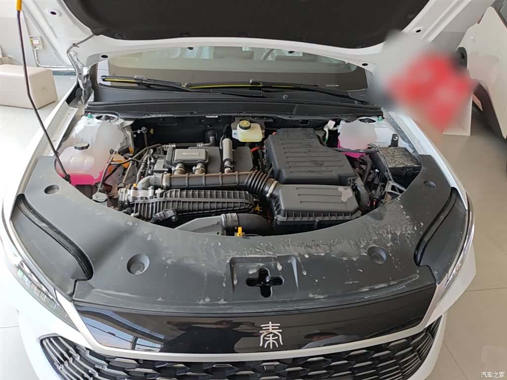 BYD Qin, 2026 20