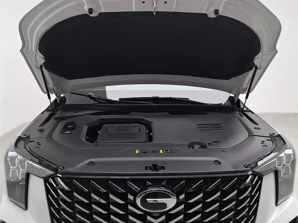 Trumpchi Trumpchi GS8