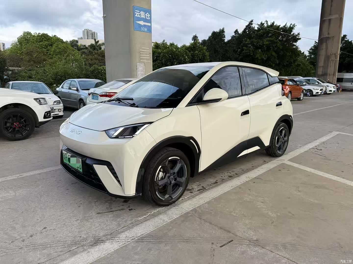 BYD Seagull, 2024 1