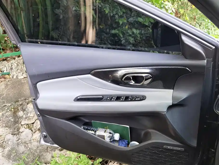 Trumpchi Shadow Leopard