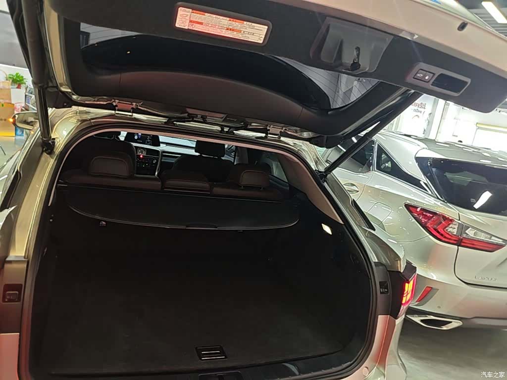 Lexus RX, 2021 19