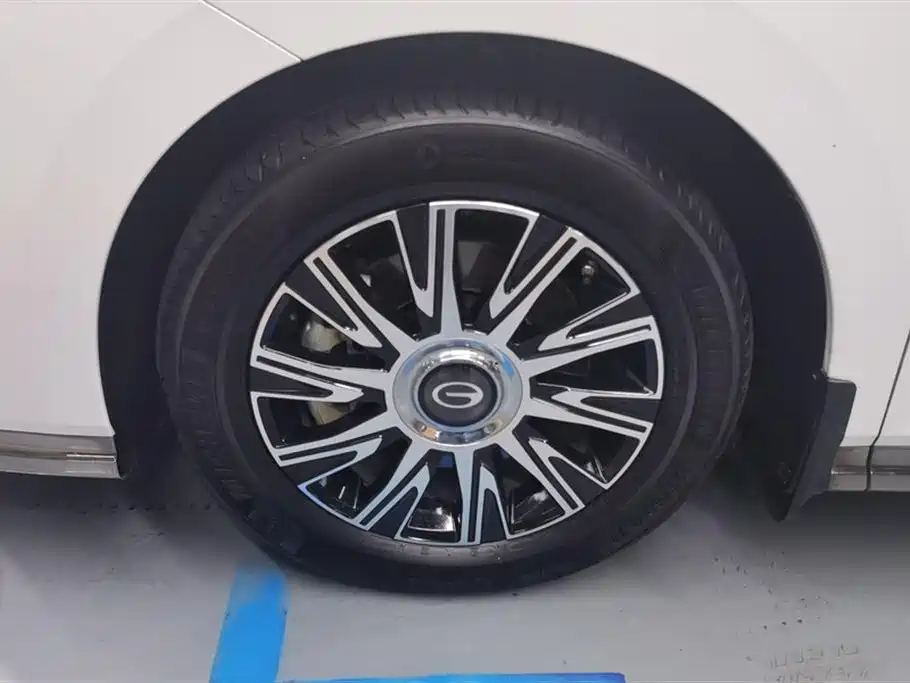 Trumpchi Trumpchi E9