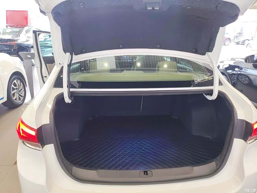 Buick VI, 2019 19