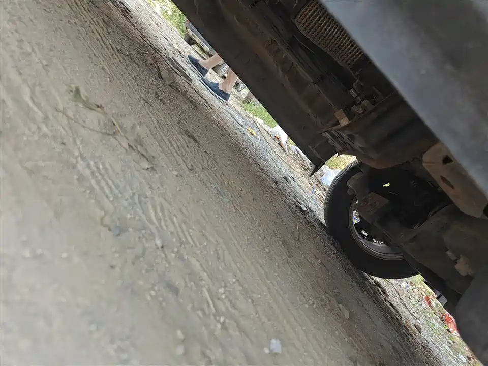 Forthing Lingzhi PLUS