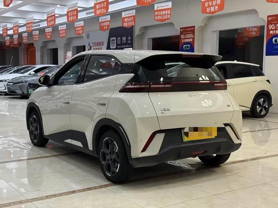 BYD Seagull