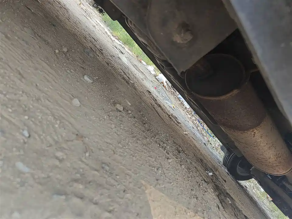 Forthing Lingzhi PLUS