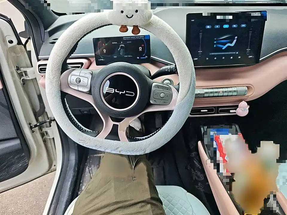 BYD Seagull