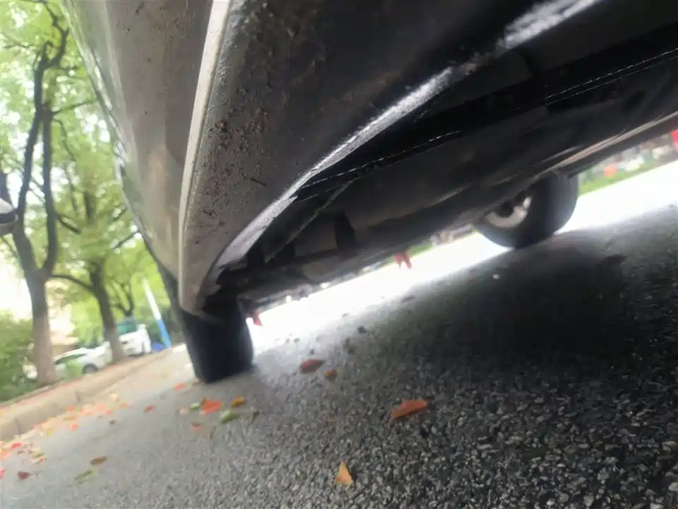 Leopaard Cheetah CS10