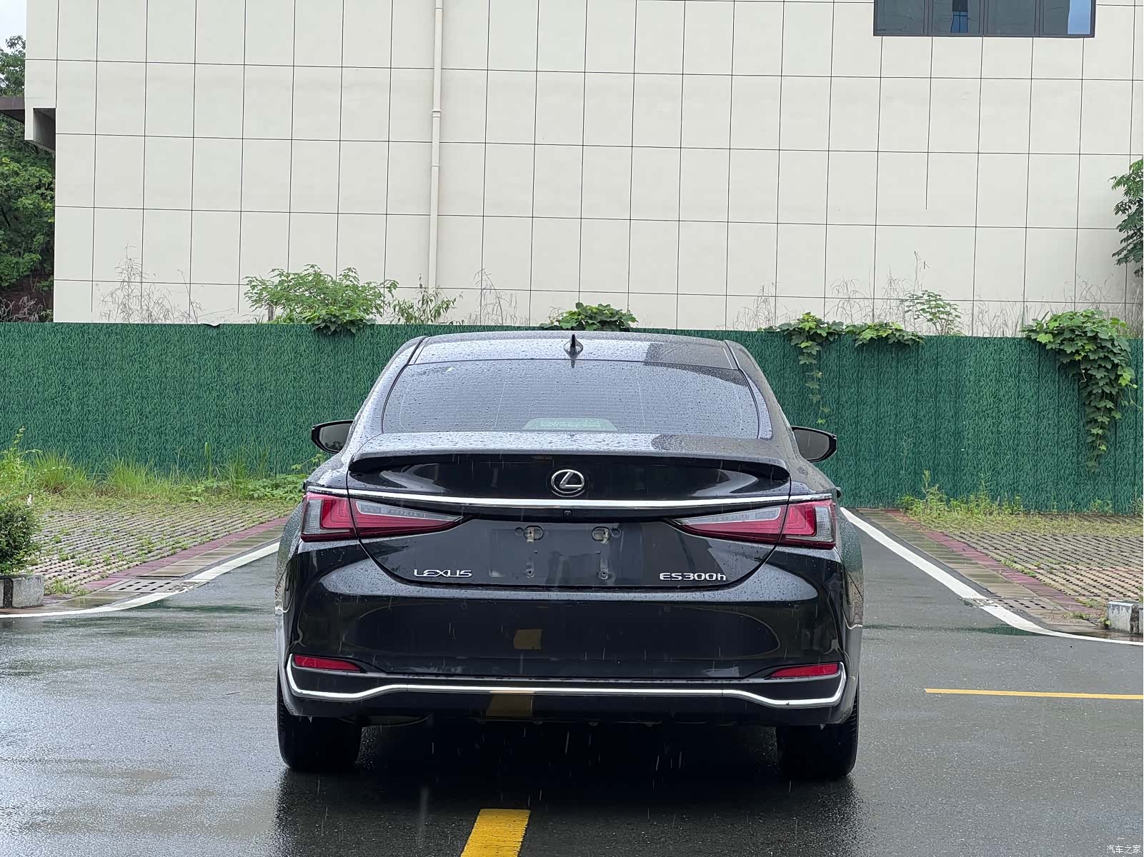 Lexus ES, 2023 все фото