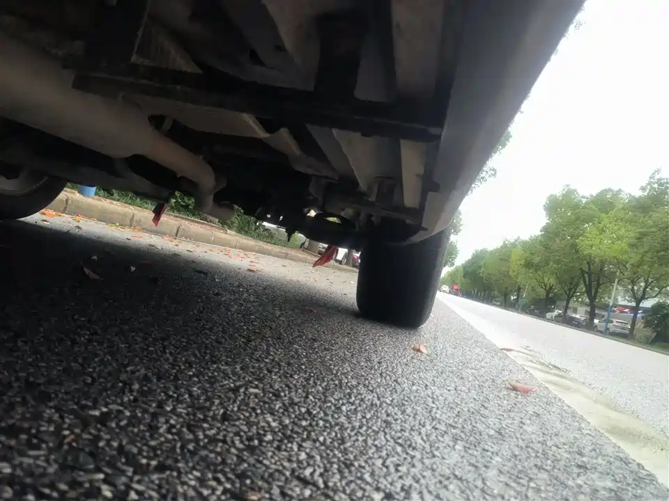 Leopaard Cheetah CS10