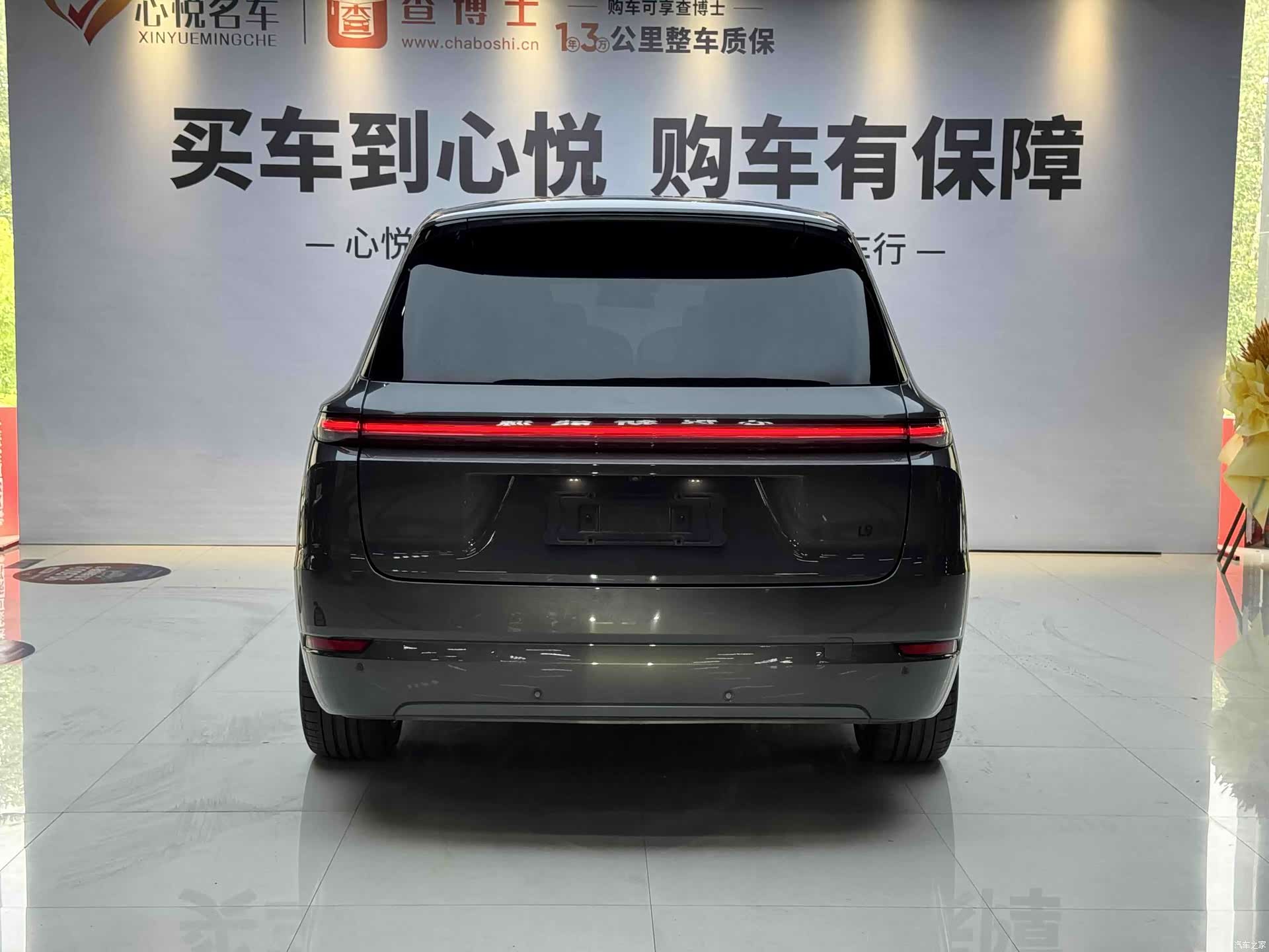 Li Auto L9, 2023 9