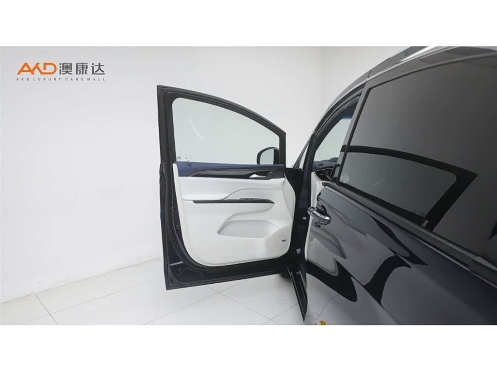Buick GL8, 2020 10