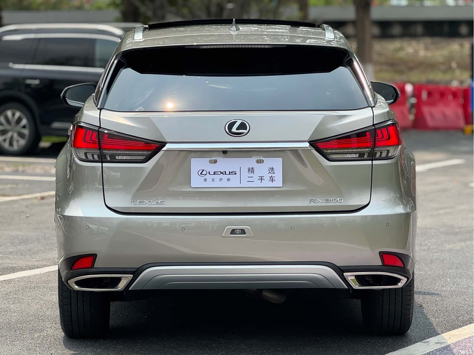 Lexus RX, 2020 19