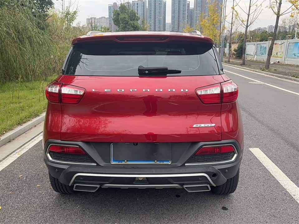 Leopaard Cheetah CS9