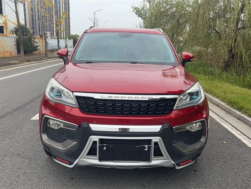 Leopaard Cheetah CS9