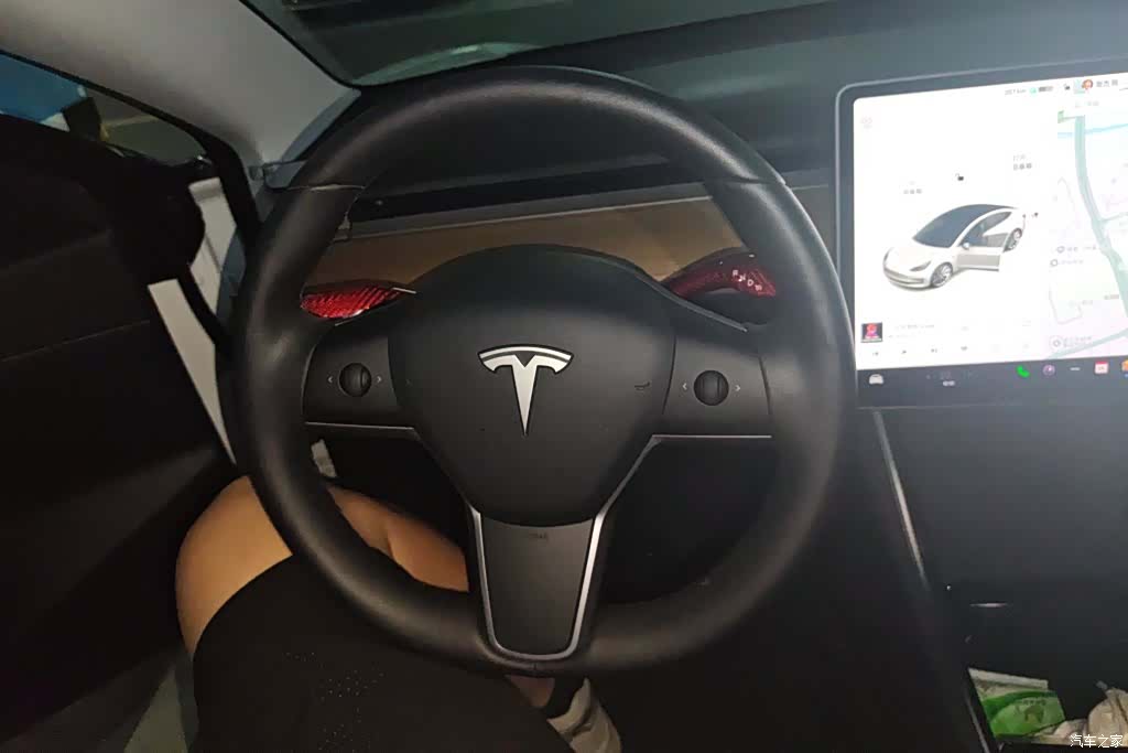 Tesla Model 3, 2020 15