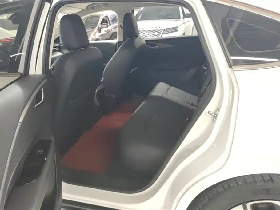 Wuling Wuling Starlight