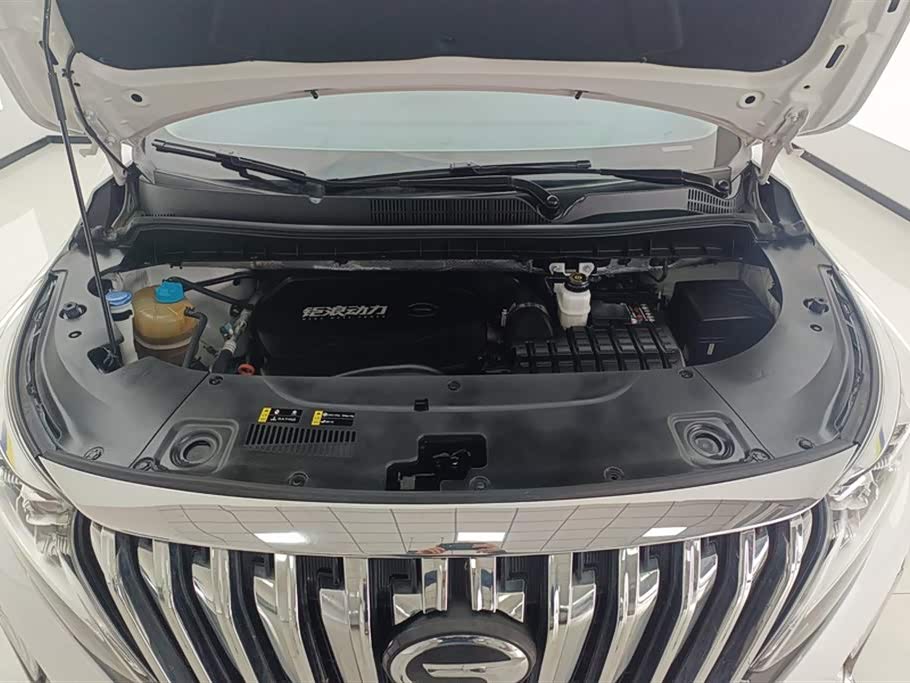 Trumpchi Trumpchi M8