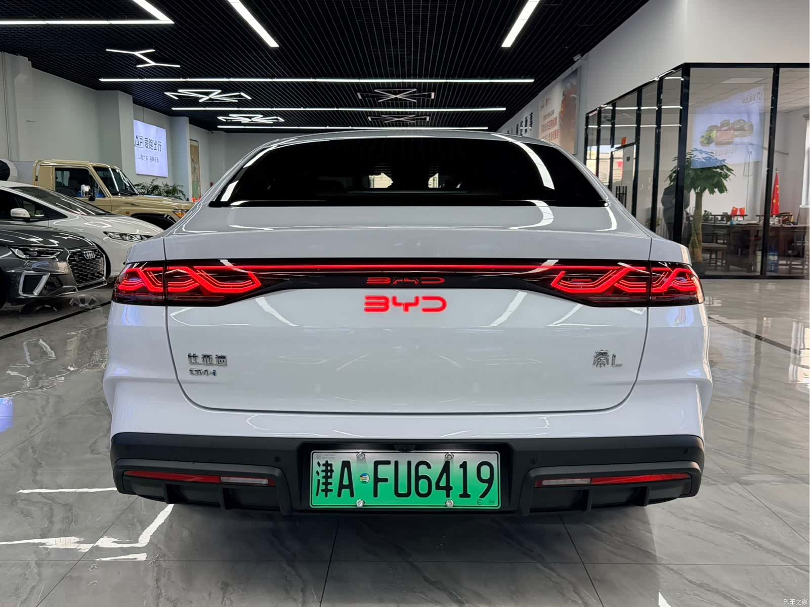 BYD Qin, 2024 все фото