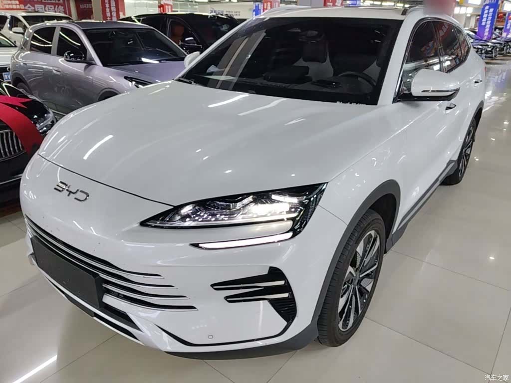 BYD Song, 2024 1