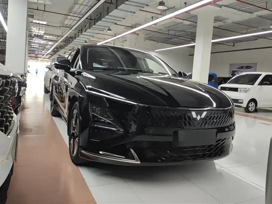 Wuling Wuling Starlight