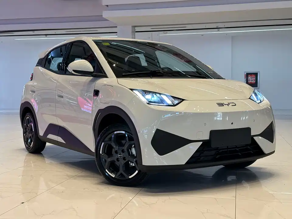 BYD Seagull