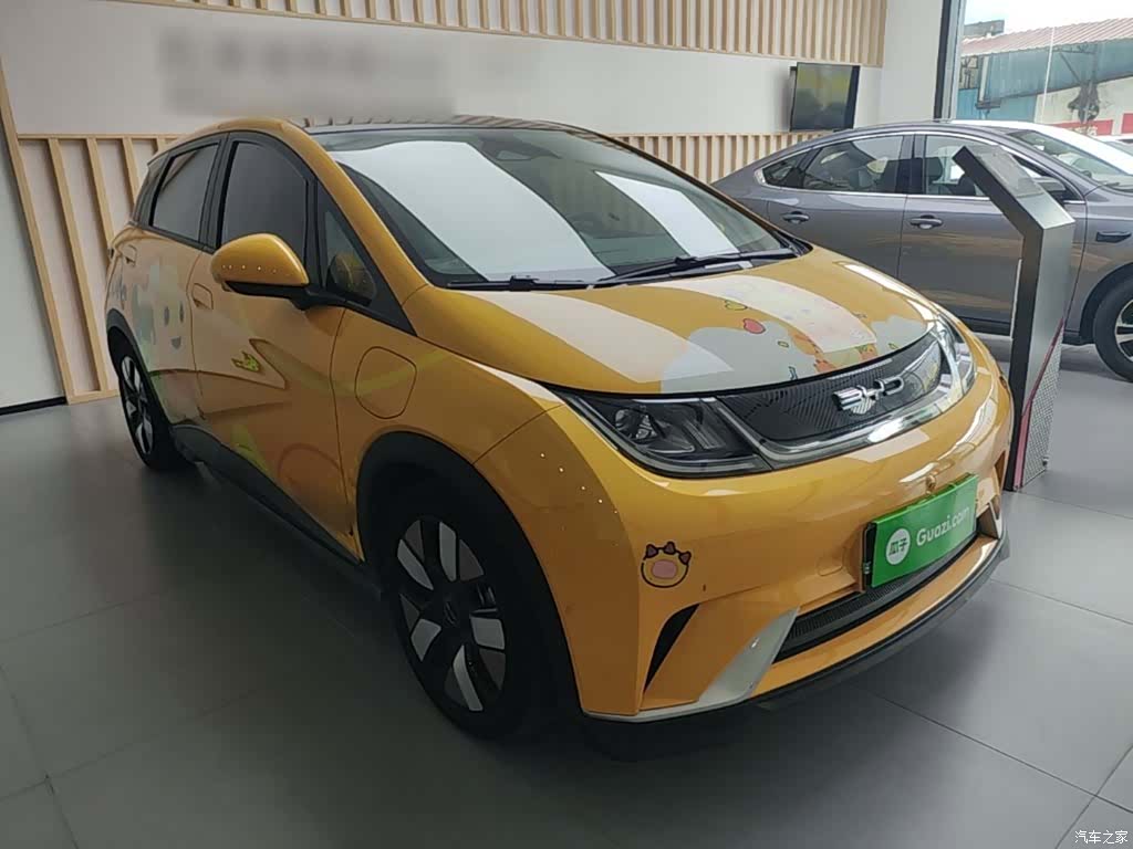 BYD Dolphin, 2023 4