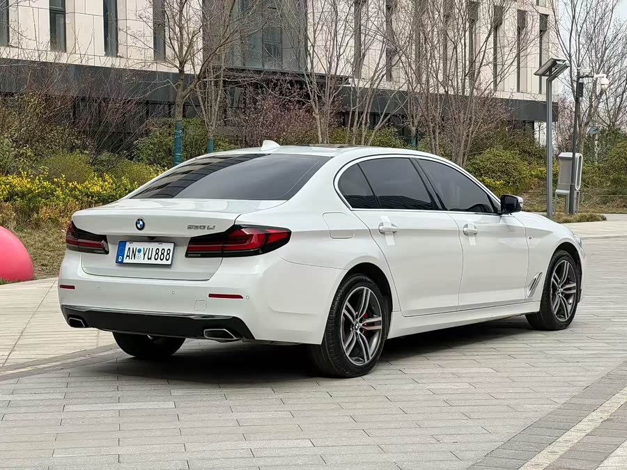 BMW 5 Series 2021, фото 6