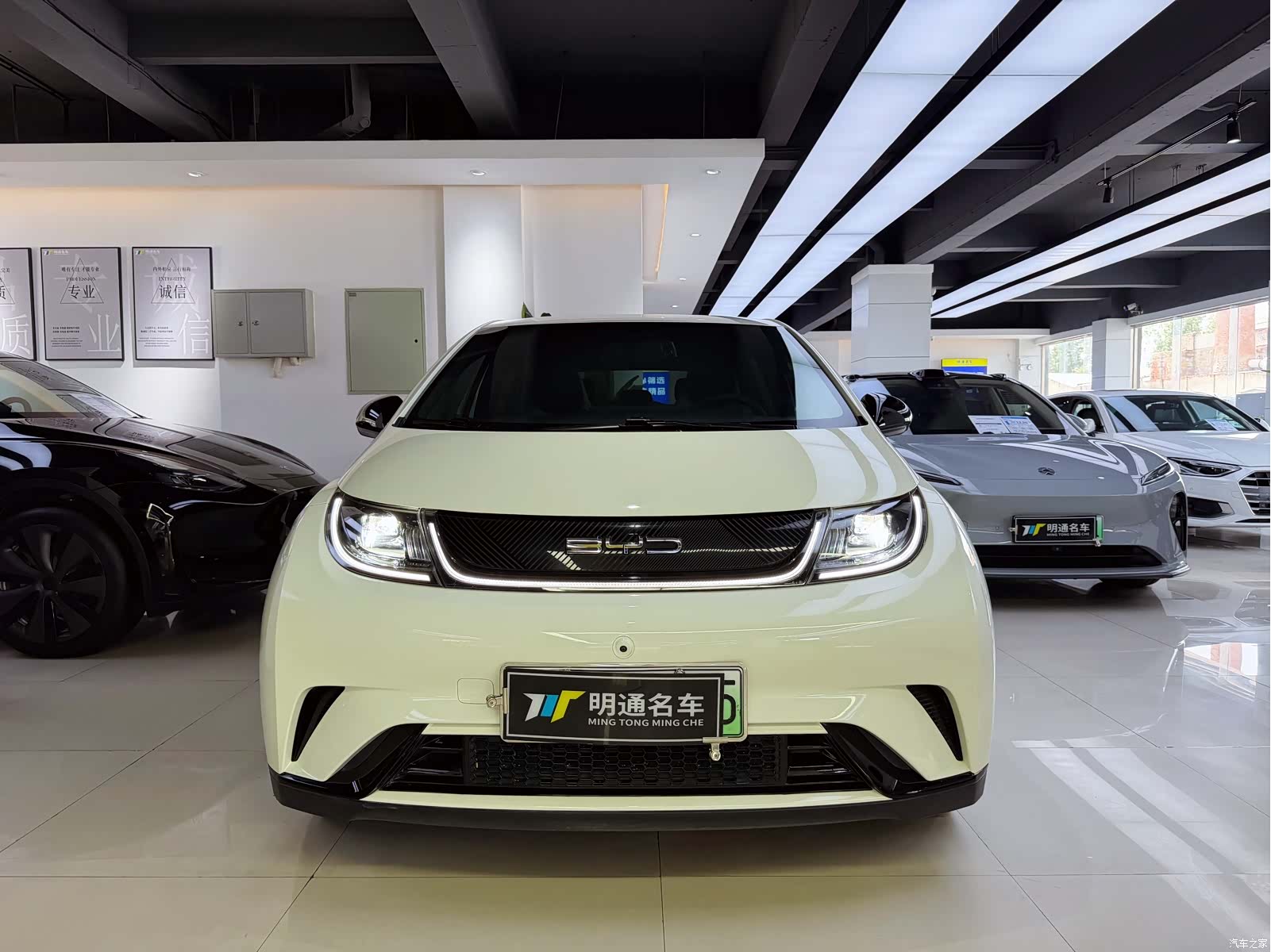 BYD Dolphin, 2023 2